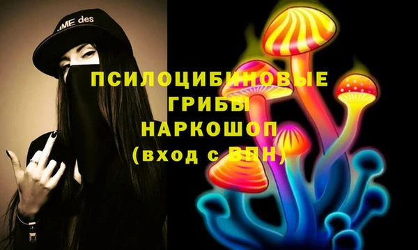 спиды Дрезна