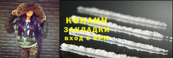 прущие грибы Володарск
