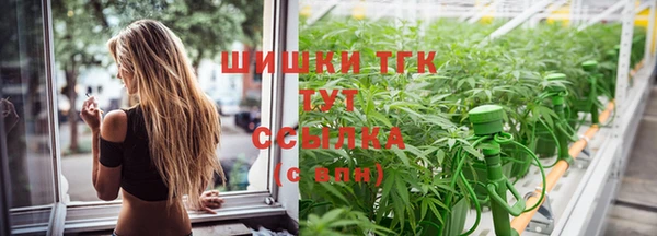 прущие грибы Володарск