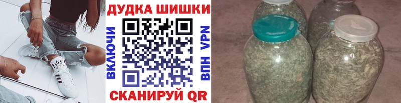 закладки  Новоржев  Марихуана сатива 